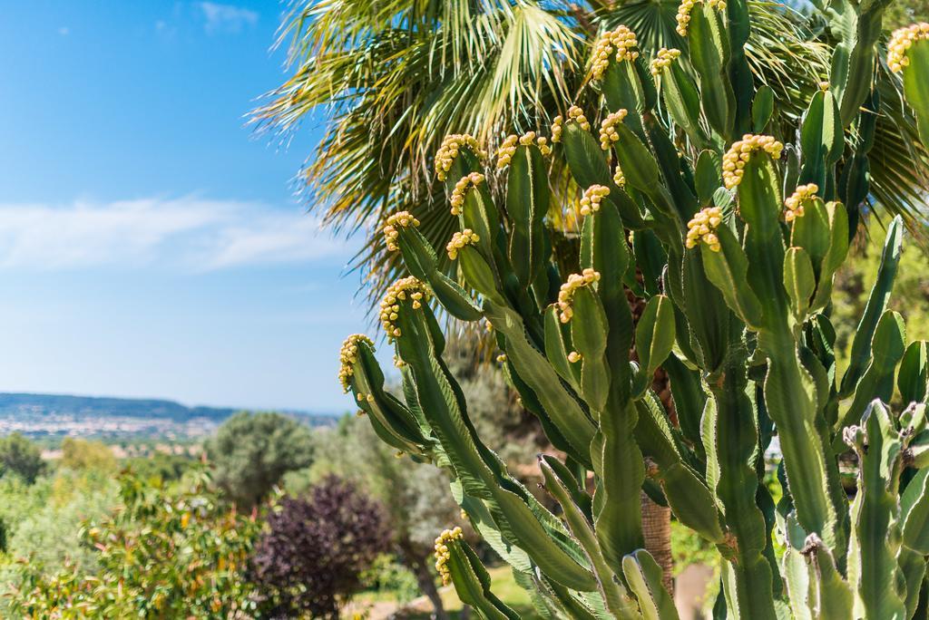 Es Pinar Villa Alaró Exteriör bild